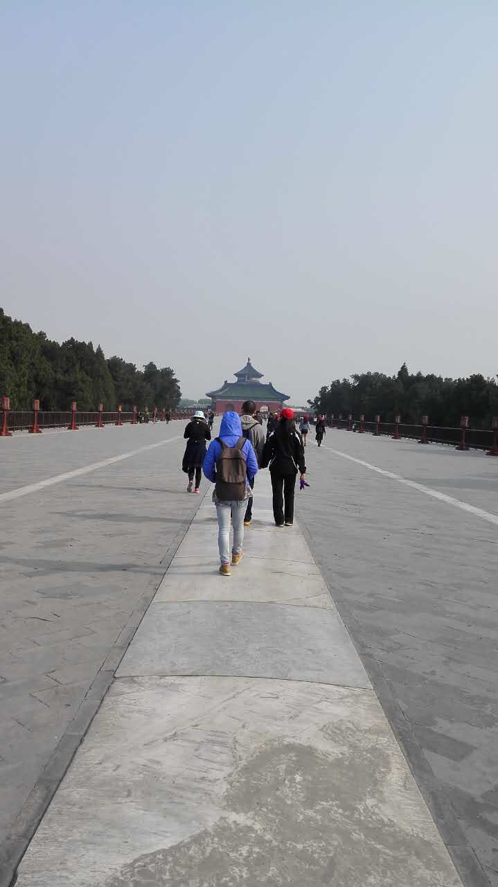 麻将胡了模拟器pg下载-麻将胡了模拟器pg下载2025最新版本