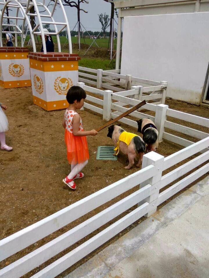 麻将胡了模拟器pg下载-麻将胡了模拟器pg下载2025最新版本