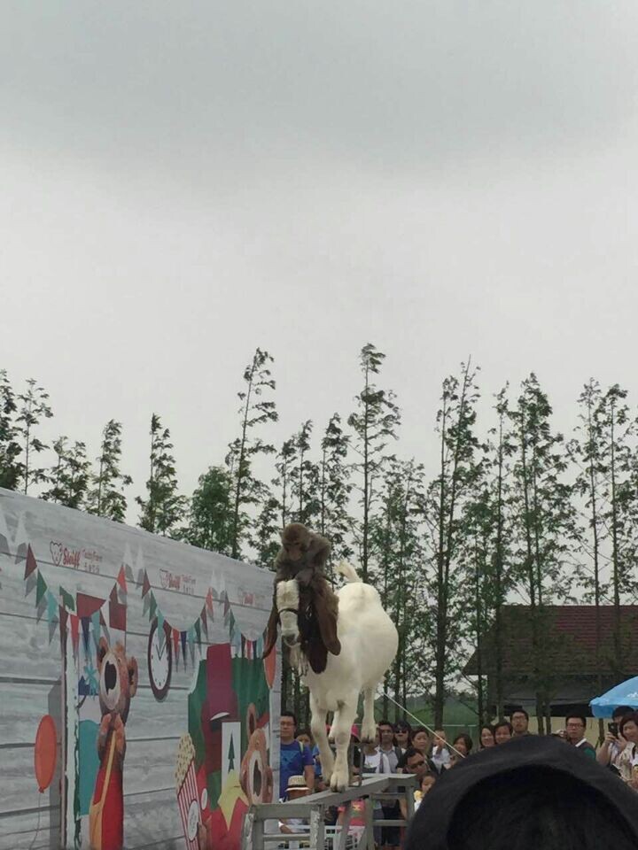 麻将胡了模拟器pg下载-麻将胡了模拟器pg下载2025最新版本