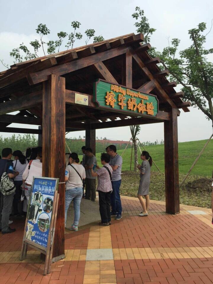 麻将胡了模拟器pg下载-麻将胡了模拟器pg下载2025最新版本