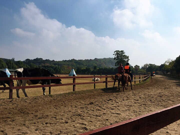 麻将胡了模拟器pg下载-麻将胡了模拟器pg下载2025最新版本